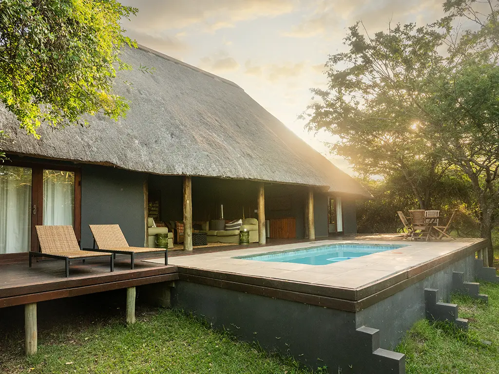 An exterior view of the luxury safari Cottage at Rhino River Lodge, showing a wooden sun deck with comfortable outdoor sun loungers next to a private swimming pool, and a seating area opening up to the bushveld.